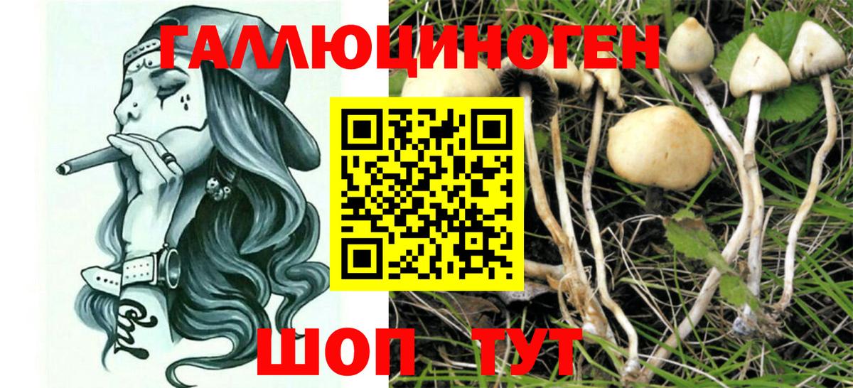 Галлюциногенные грибы Magic Shrooms  где купить наркоту  Ревда  Вход с VPN  Галлюциногенные грибы Psilocybine cubensis 