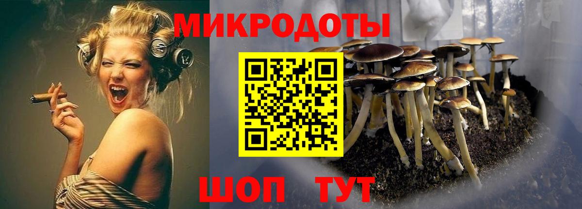 Псилоцибиновые грибы Magic Shrooms Ревда